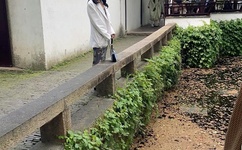 天天养生视频全集